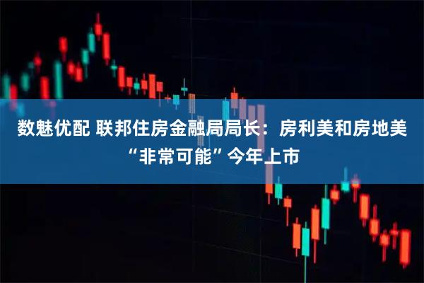 数魅优配 联邦住房金融局局长：房利美和房地美“非常可能”今年上市