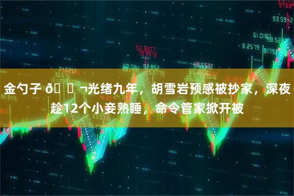 金勺子 🌬光绪九年，胡雪岩预感被抄家，深夜趁12个小妾熟睡，命令管家掀开被